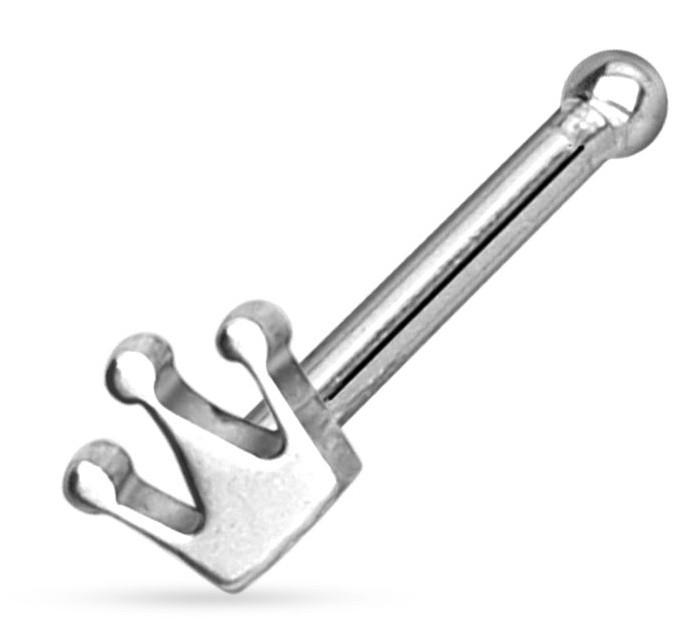 Nose Ring 20g 6mm Crown Top 316L Stainless Steel Nose Stud