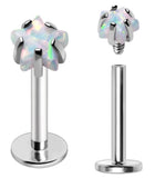 Body Accentz 16 Gauge Labret Monroe Piercing with White Opal Star Top, Internally Threaded Flat Back Stud, 8mm Bar Length, 3mm Prong Set Synthetic Opal