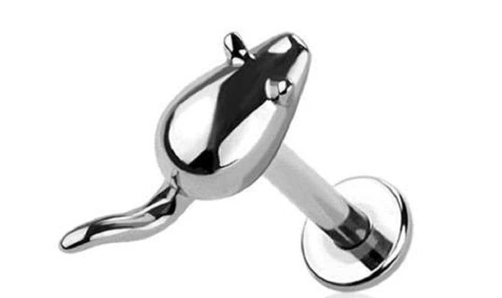 Body Accentz Labret Internally Threaded Mouse 16g Surgical Steel 316L