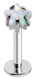 Body Accentz 16 Gauge Labret Monroe Piercing with White Opal Star Top, Internally Threaded Flat Back Stud, 8mm Bar Length, 3mm Prong Set Synthetic Opal
