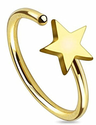 Star Titanium IP 316L Surgical Steel Nose Ring 20 gauge (goldtone)