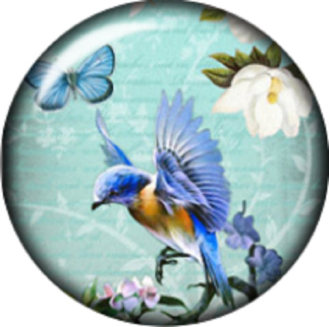 Snap button Hummingird  charm  Jewelry 18mm