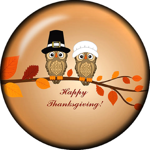 Snap Button Owl Fall Happy Thanksgiving 12mm Charm Chunk