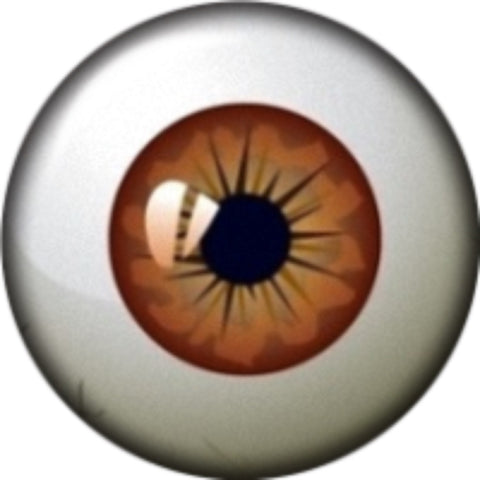 Snap button  Brown Eye 18mm Cabochon chunk charm