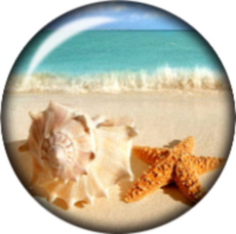 Snap button Beach Sea Life salt water starfish Conch Shell  18mm Cabochon chunk charm