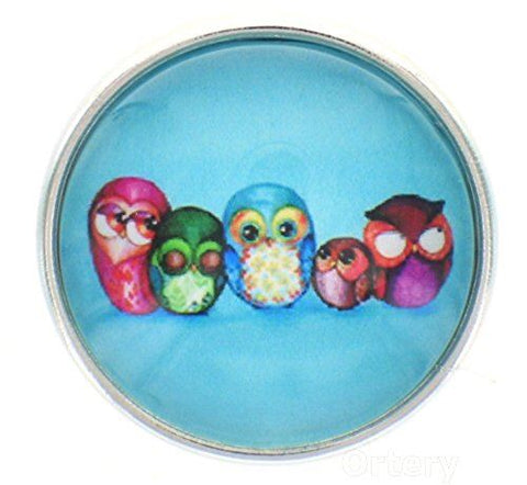 Body Accentz 18mm Snap Charm Button Interchangeable Jewely Wise owl Family