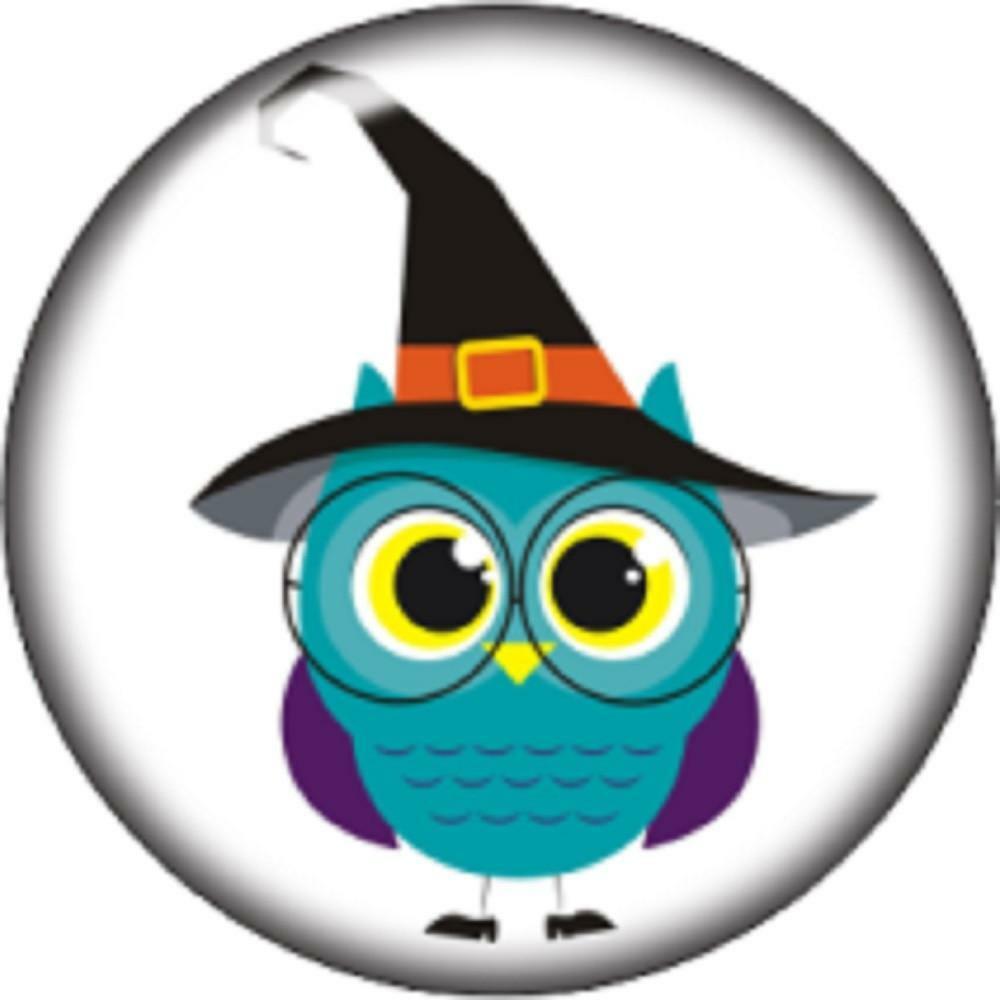 Snap Button Owl Halloween Witch hat 18mm Charm Chunk Interchangeabl