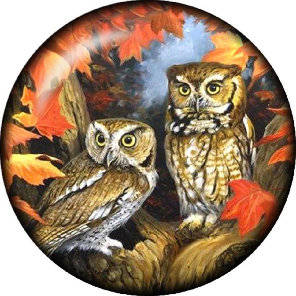 Snap Button Owl Fall Leaves 18mm Charm Chunk