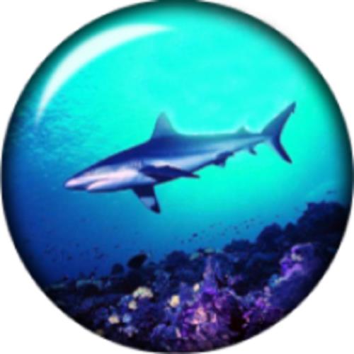 Snap Button Shark Ocean 18mm Cabochon Chunk Charm