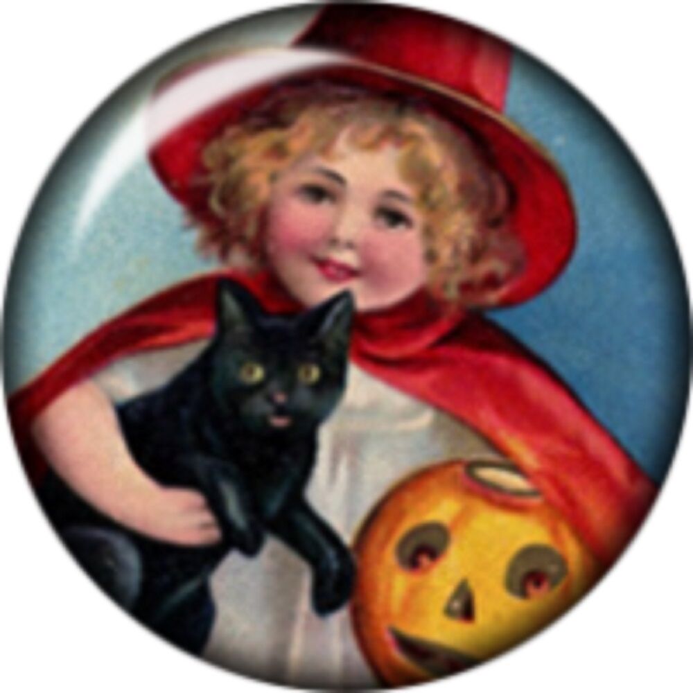 Snap Button Girl Witch Black Cat Pumpkin 18mm Cabochon Chunk Charm