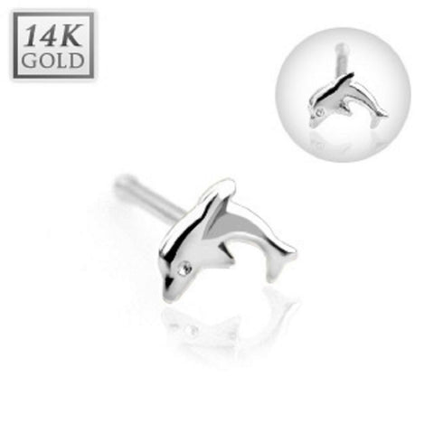 Body Accentz Nose Ring Dolphin Nose Stud Ring 14 Karat Solid White Gold 20g