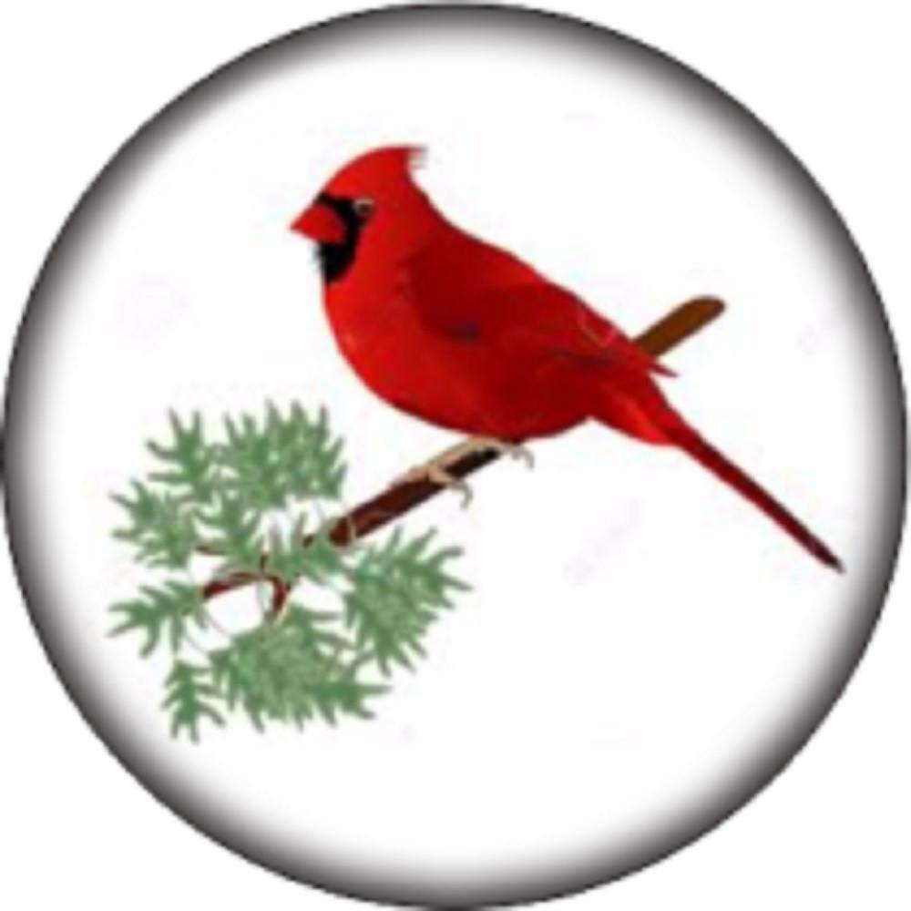 Snap Button Cardinal Red Bird 18mm Charm Chunk Interchangeable