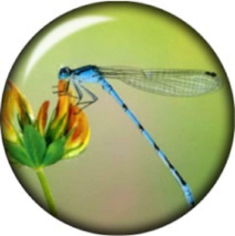 Snap Button Dragonfly Flower 18mm Cabochon Chunk Charm