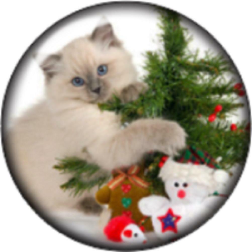 Snap Button Christmas Tree cat 18mm Cabochon Chunk Charm