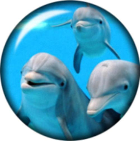 Snap Button Dolphins 18mm Cabochon Chunk Charm