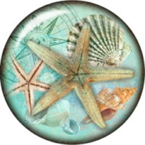 Snap Button Beach Starfish Shells 18mm Charm Chunk Interchangeable