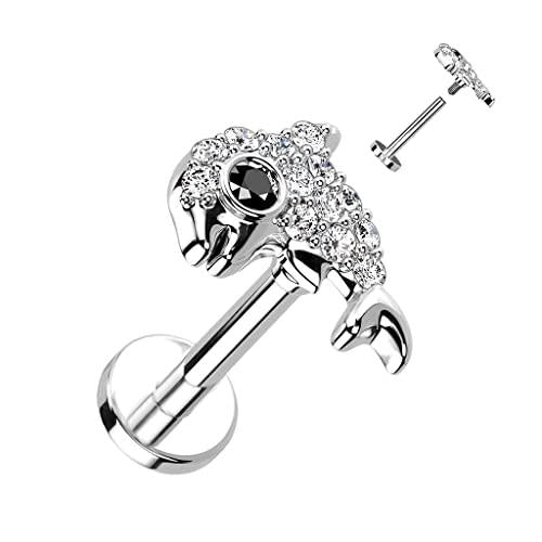Body Accentz CZ Paved Dolphin Top on Internally Threaded 316L Surgical Steel Flat Back Stud for Labret, Monroe, Cartilage and More (Silvertone)