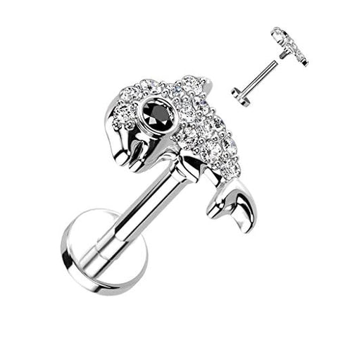 Body Accentz CZ Paved Dolphin Top on Internally Threaded 316L Surgical Steel Flat Back Stud for Labret, Monroe, Cartilage and More (Silvertone)