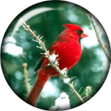 Snap button Domed Cardinal Bird Branch charm  Jewelry 18mm