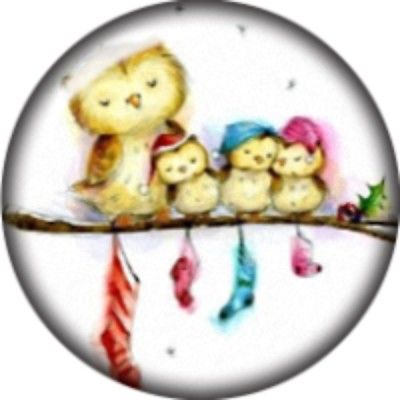 CHC  412 Owl BG5193