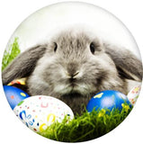 Glass Cabochons Snap Buttons | Easter Bunny Eggs Snap button charms